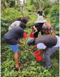 Counseling students working at Jiwa Community Garden.